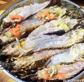 LOL赛事竞猜 -2薔~?皥榃柔ER肮?F葄"a肤$=的简单介绍